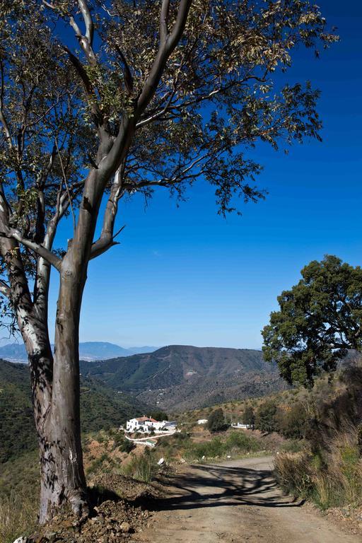 Cortijo Juan Salvador Guest House Olias ภายนอก รูปภาพ